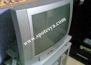 6 ay kullanılmış vestel 22 inç lcd televizyon 9 Sehpasıyla birlikte satılık tüplü televizyon