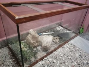 Ucuz tam takım mini akvaryum 17 İkinci el akvaryum 1 metre 160 LİTRE