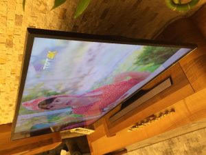 Tüplü televizyon beko 72 ekran flat görüntü kalitesi yüksek 9 55 inç samsung ultra hd 4K smart televizyon