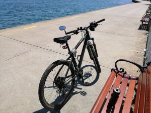 Satılık aura clean max halı yıkama makinesi 19 ikinci el rockrider 520s